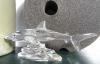 160.43.requin copie.JPG